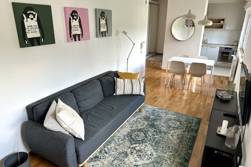 Svetao 1 5 stan bez lifta na Miljakovcu  46m2 1