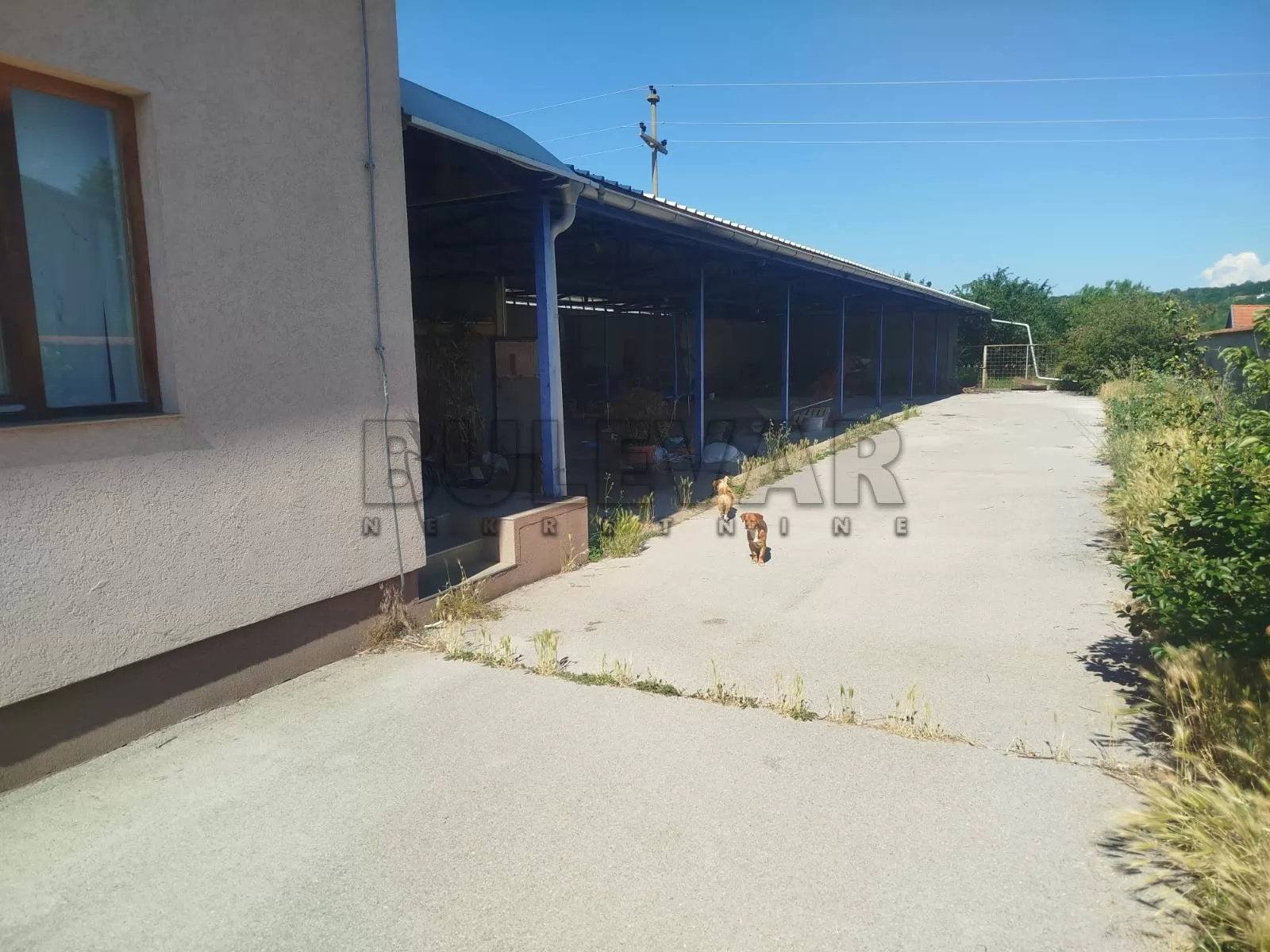 Lokal, 650 m2, Ohridsko naselje, Vlajkova ID: i-016741 2