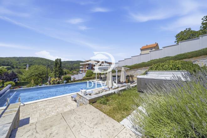 Ekskluzivna vila sa bazenom i saunom  Vrdnik 421m2 4