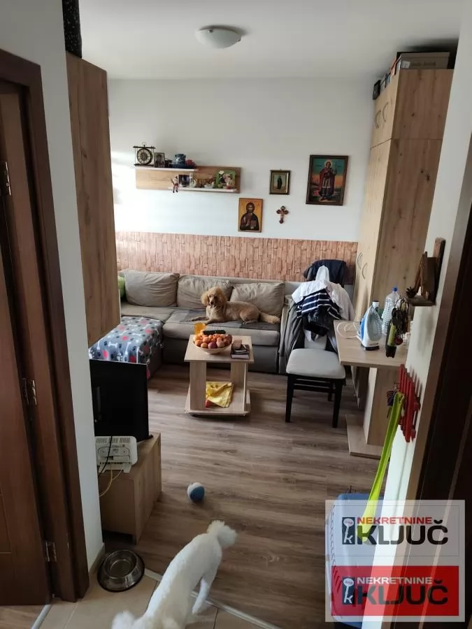 ADICE, 29m2, Jednoiposoban, Namešten 1