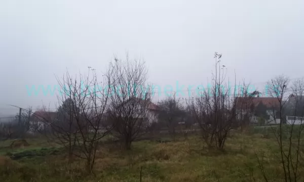 Plac, Sremčica, Seoskih zadruga ID: 29206 2