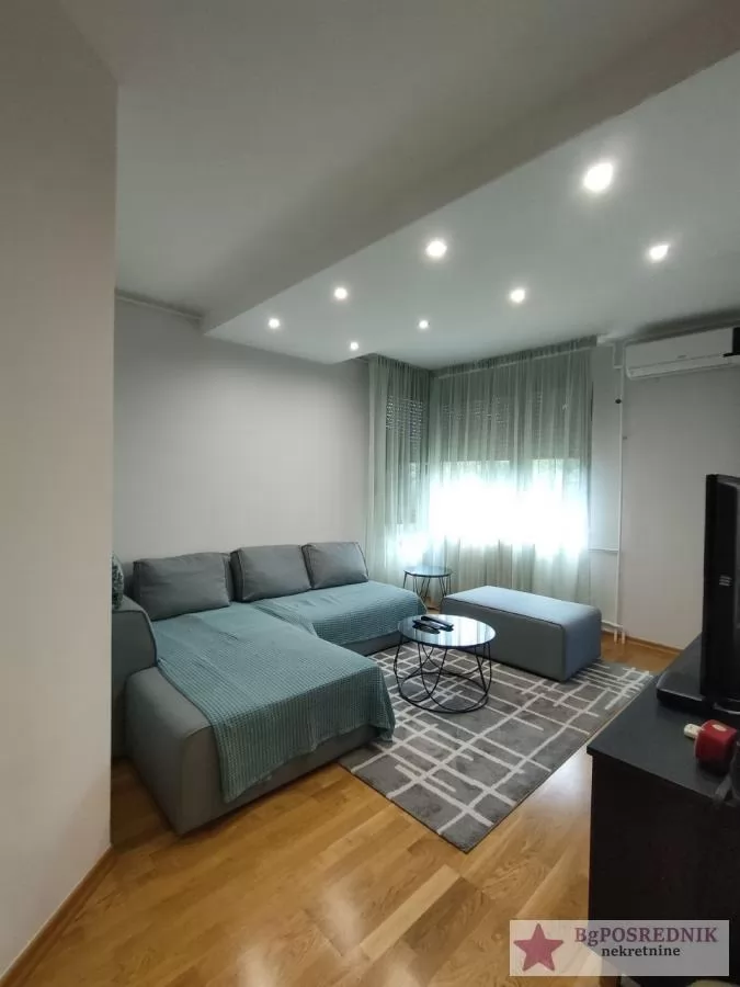 Palilula, Višnjička banja, Višnjičeki venac, 46m2 3
