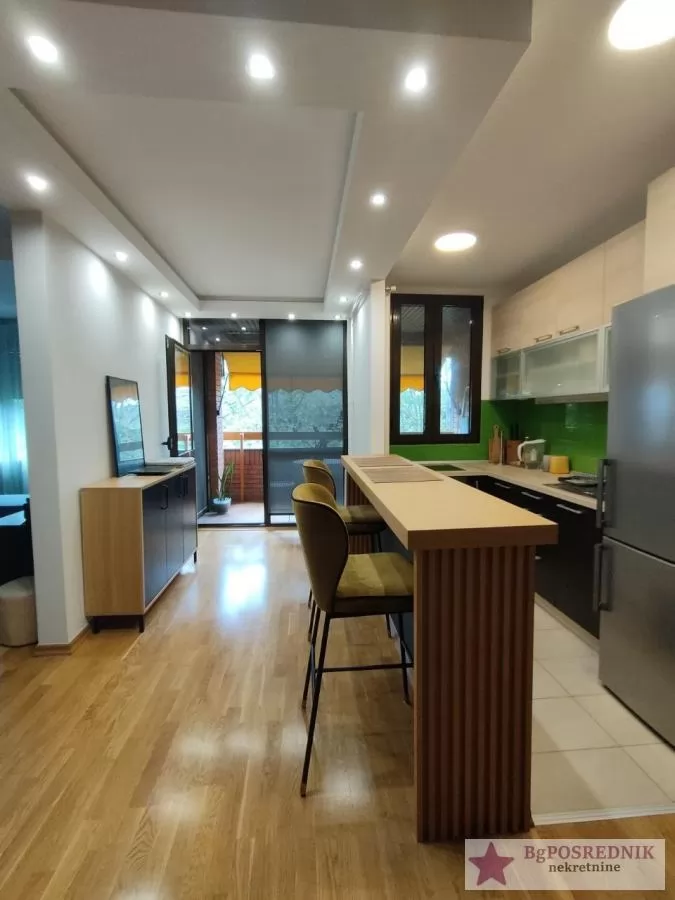 Palilula, Višnjička banja, Višnjičeki venac, 46m2 8