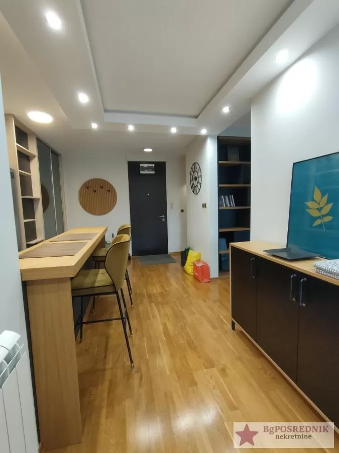 Palilula, Višnjička banja, Višnjičeki venac, 46m2 9