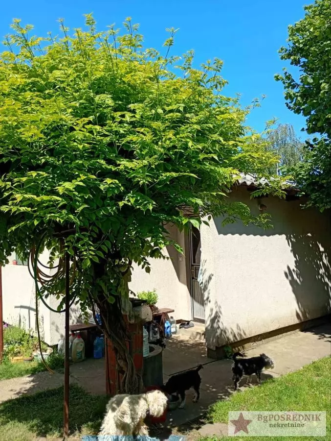Surčin, Centar, Sremskih partizana, 226m2, 4.5a 7