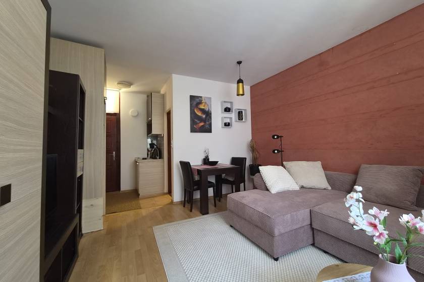 Renovirana garsonjera za izdavanje na Banovom brdu 2