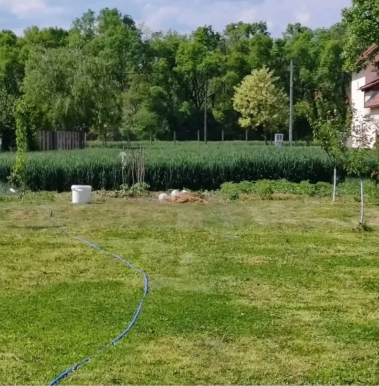 Prodajem plac u Vognju Ruma 2