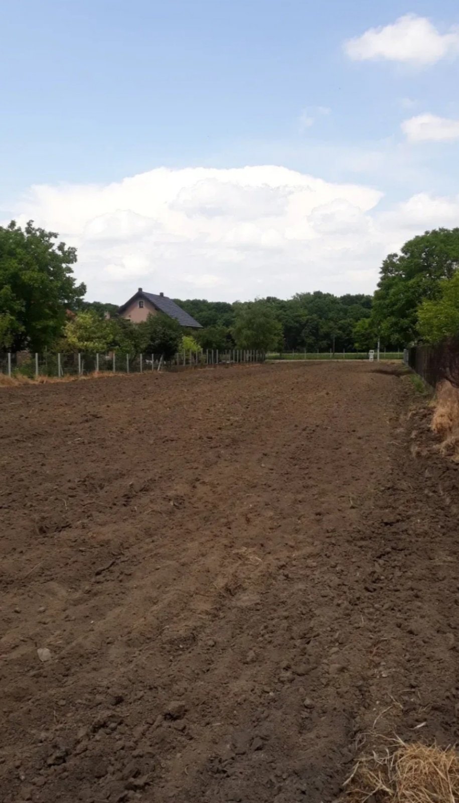 Prodajem plac u Vognju Ruma 3