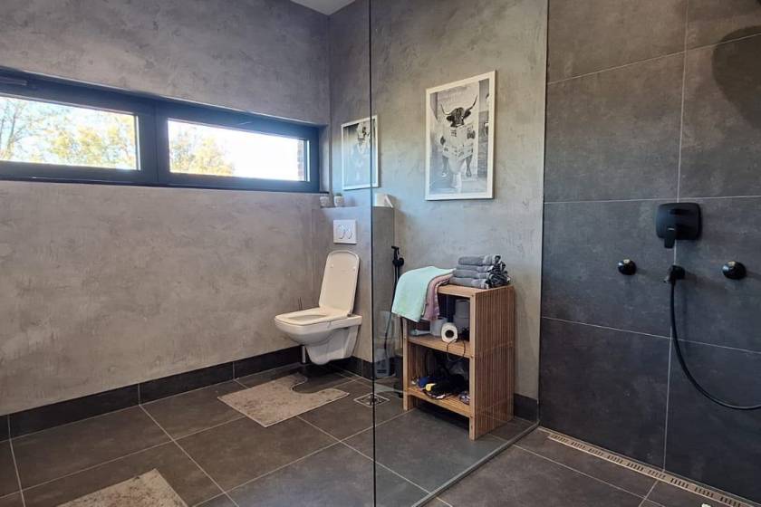 Izdaje se urbana vila sa bazenom kod Avale 330m2 4