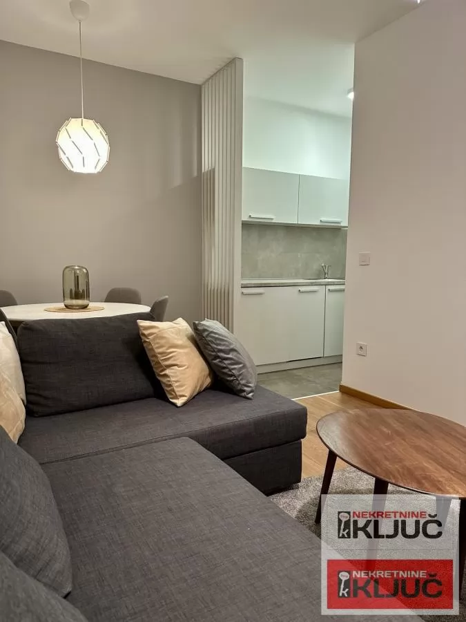 CENTAR, 49m2, Dvosoban, Palata Pupin 2