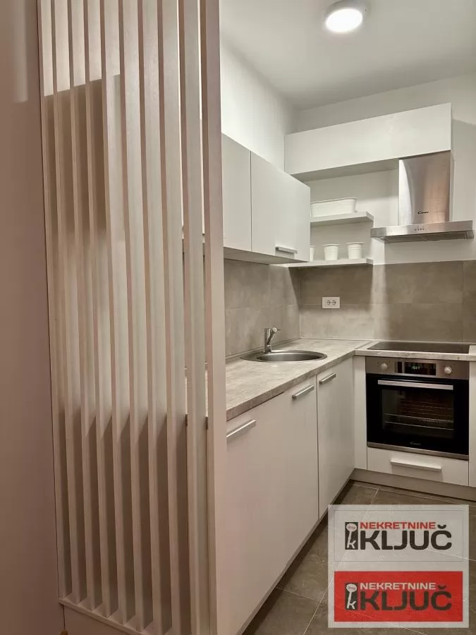 CENTAR, 49m2, Dvosoban, Palata Pupin 9