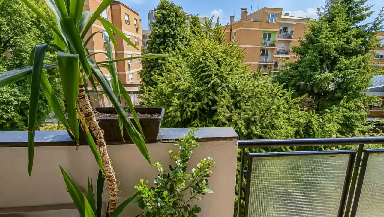 Dvosoban stan, 63 m2, Centar, Cara Lazara ID: p-016859 6