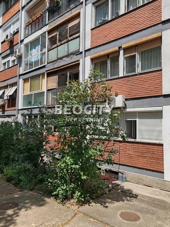 Dvosoban stan, 68 m2, Kanarevo brdo, Borska ID: 133657 14