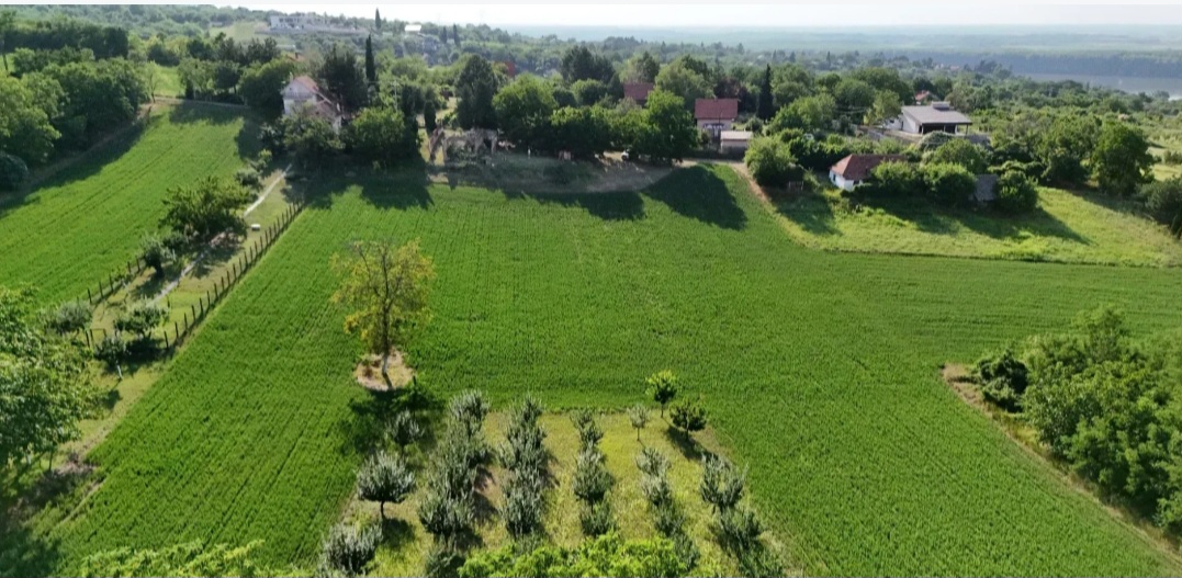 Plac Krcedin put Janda 7700m2 materijal za izgradnju 3