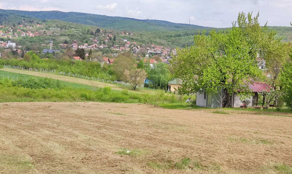 Plac u Vrdniku 3