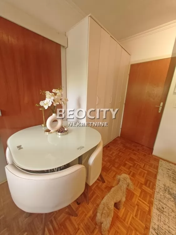 Dvosoban stan, 50 m2, Šumice, Ustanička ID: 133641 4