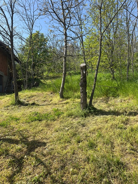 Plac na prodaju u podnozju Vrsackog brega 3