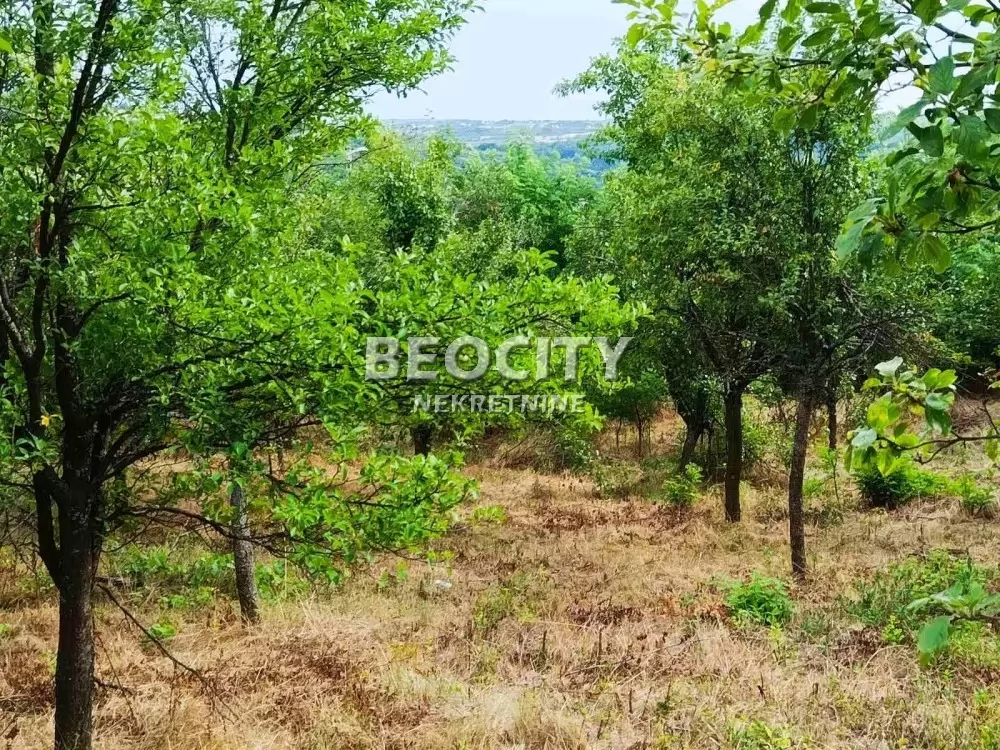 Plac, Ripanj, Novo naselje ID: 133689 1