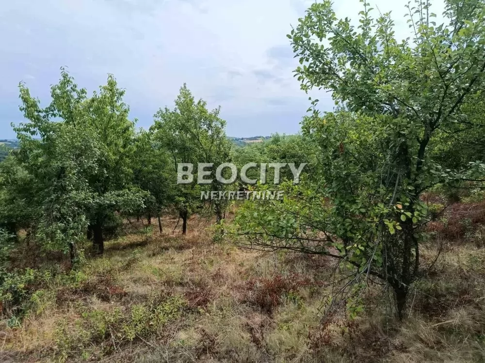 Plac, Ripanj, Novo naselje ID: 133689 2