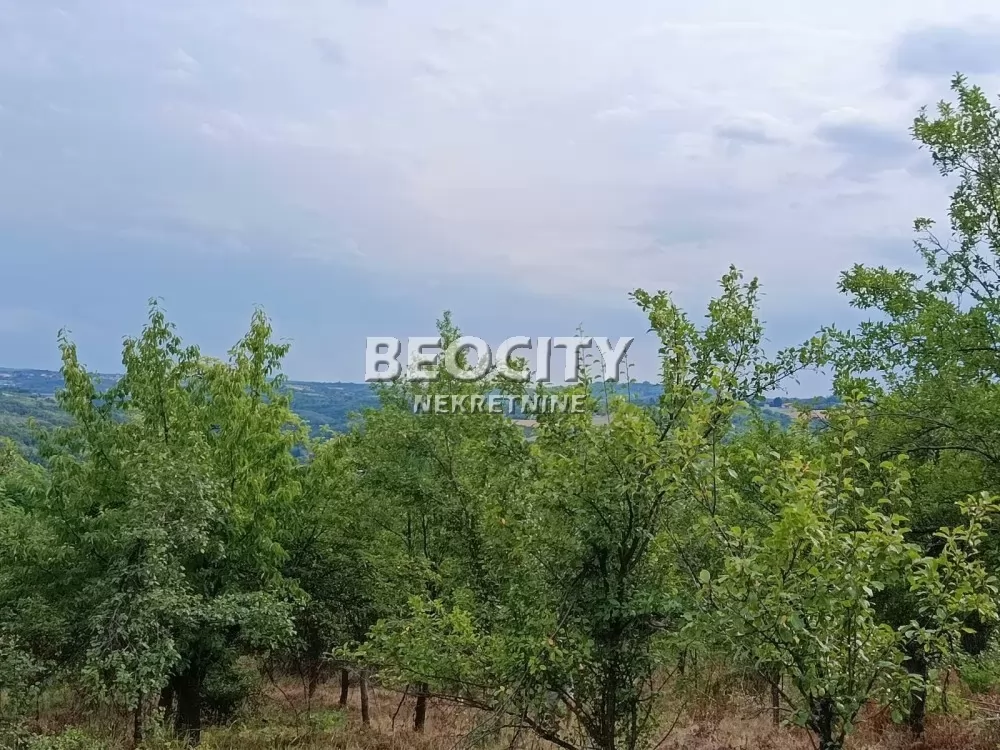 Plac, Ripanj, Novo naselje ID: 133689 4