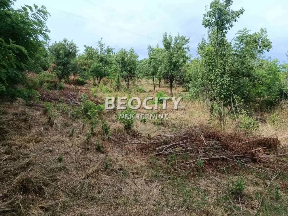 Plac, Ripanj, Novo naselje ID: 133689 5