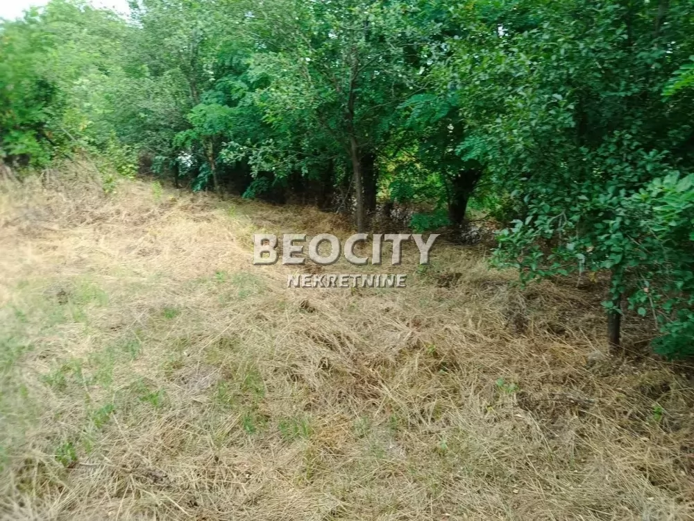 Plac, Ripanj, Novo naselje ID: 133689 6