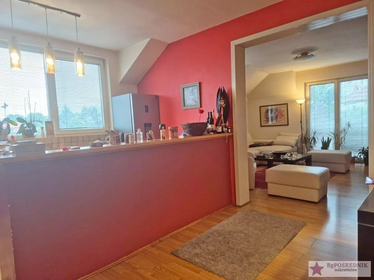 Savski venac, Senjak, Viktora Igoa, 95m2+28m2 5