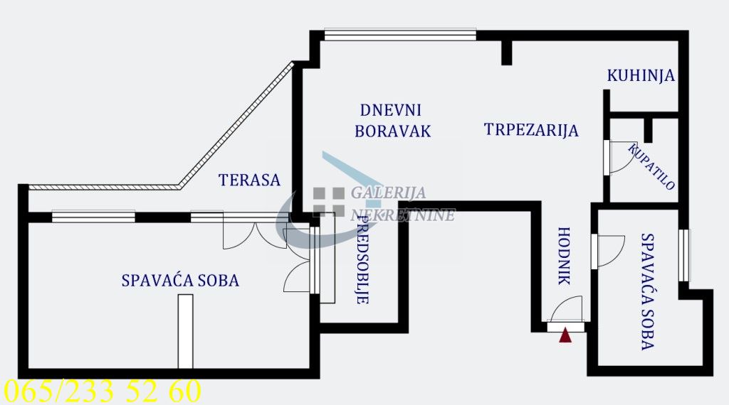 Zvezdara  Lion   Bulevar kralja Aleksandra 4
