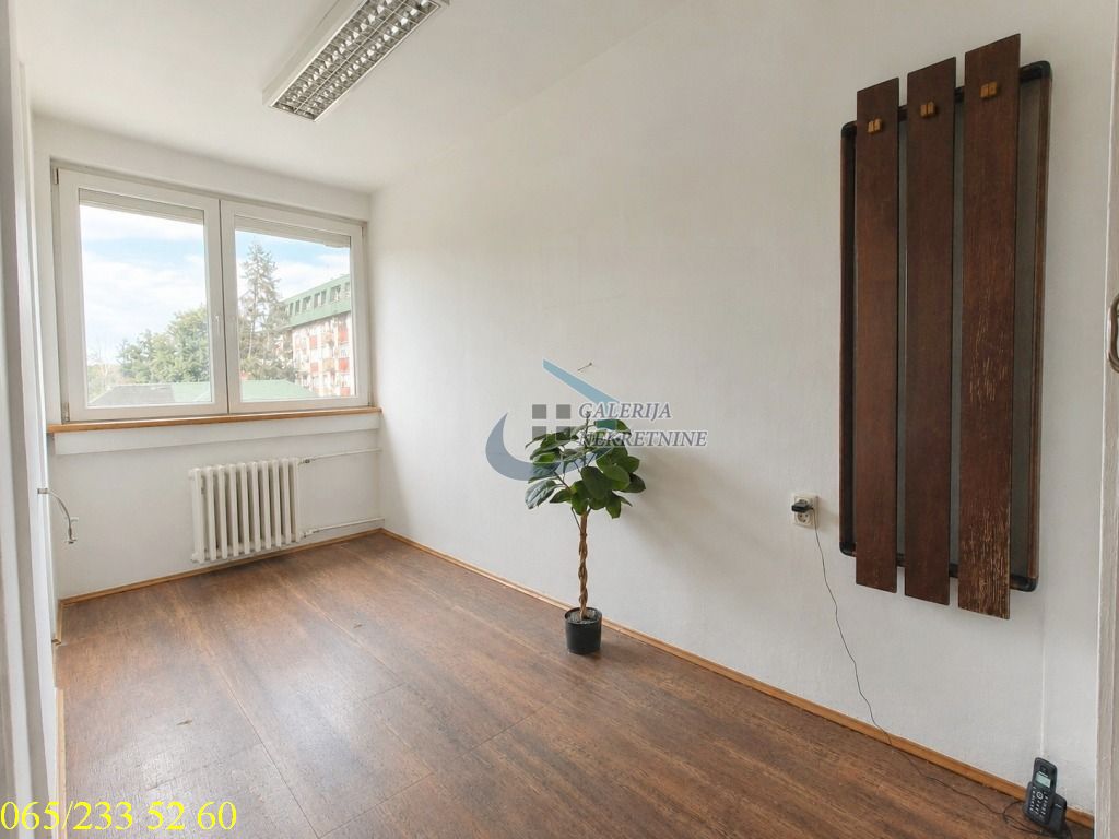 Rakovica  Miljakovac   Borska 2