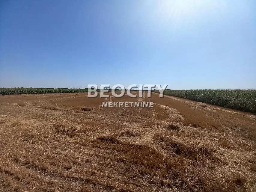 Plac, Lukin Salaš IZA MILŠPEDA ID: 134028 1