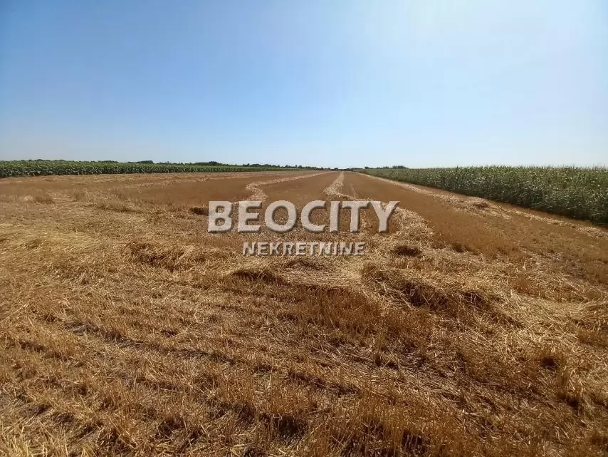 Plac, Lukin Salaš IZA MILŠPEDA ID: 134028 2