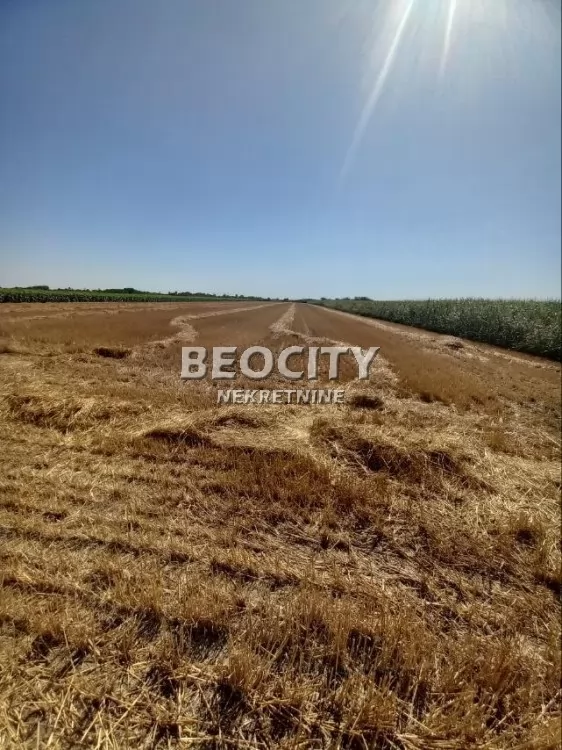 Plac, Lukin Salaš IZA MILŠPEDA ID: 134028 3