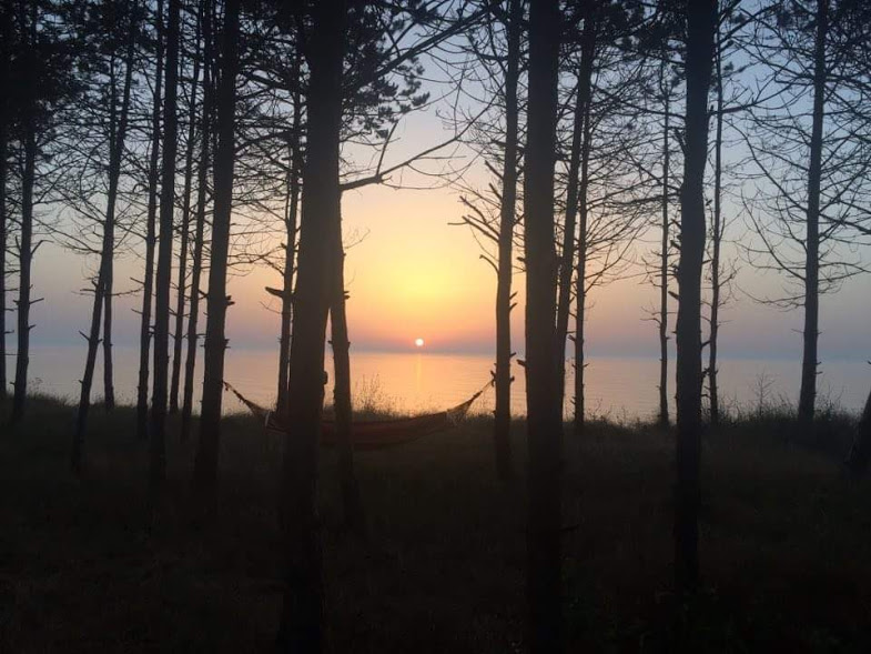 received_1508502382545415