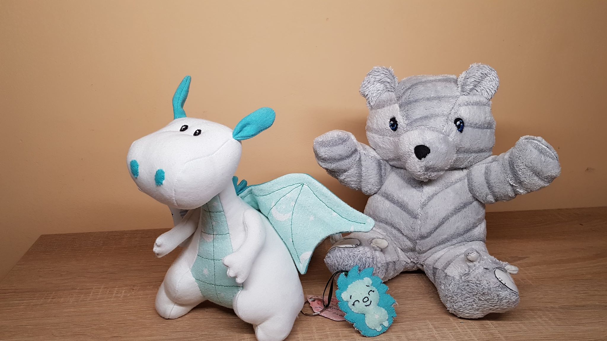 70263236_793804557700407_6026962177221459968_n