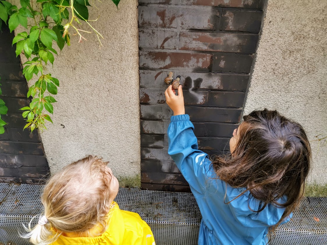 IMG_20200617_103129-1