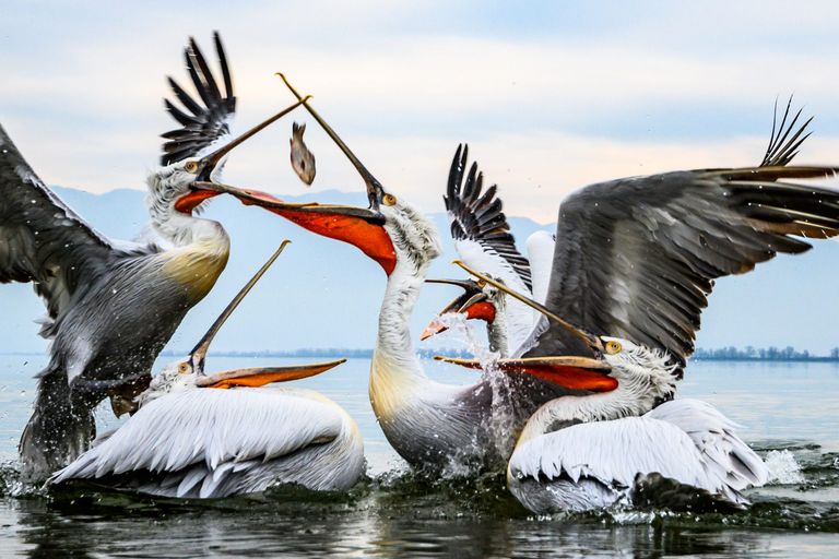 birger-strahl-0Om-BfPwvOw-unsplash