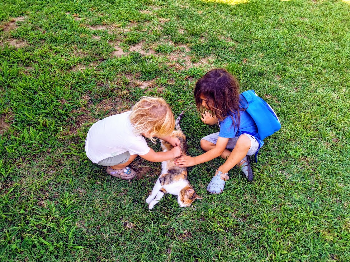 copiii-si-pisica