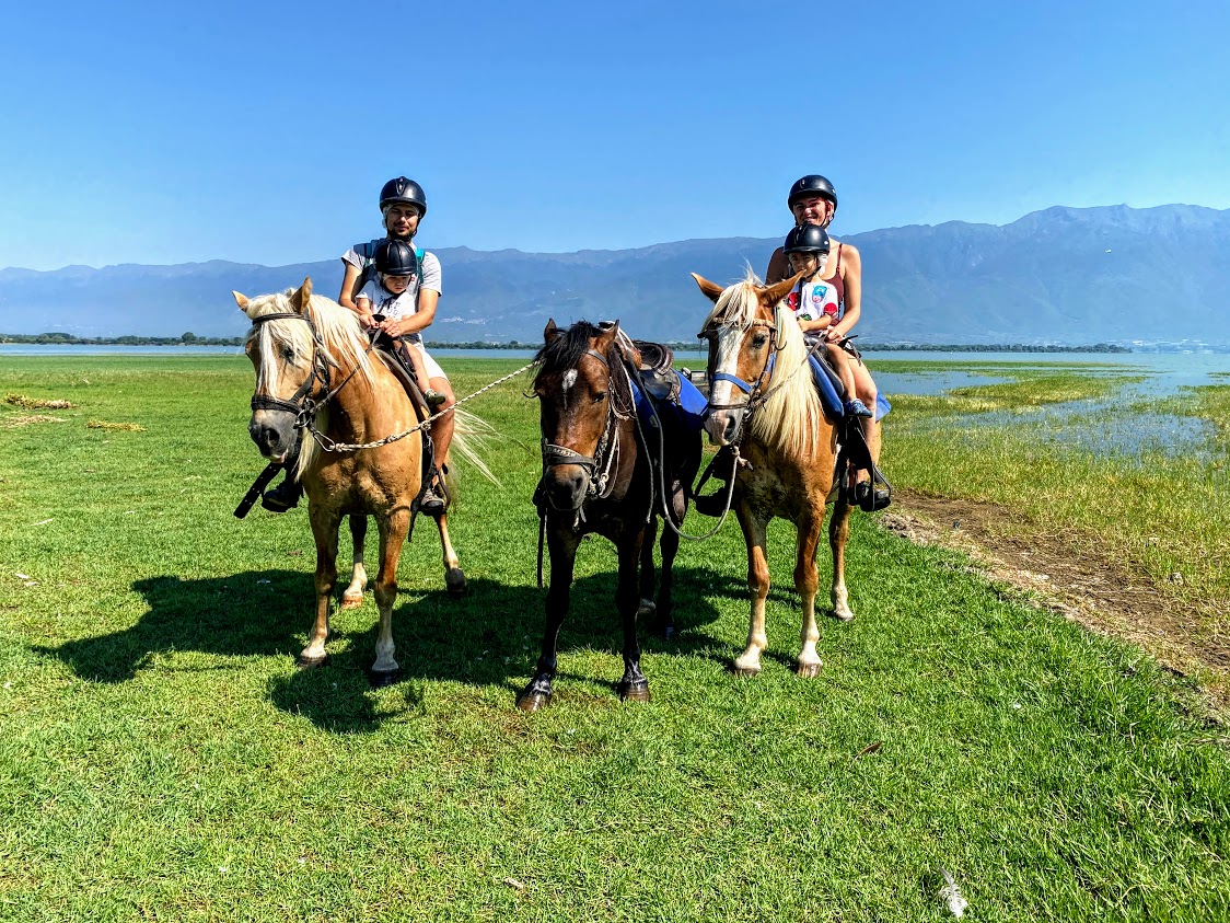 noi-pe-cai-de-editat