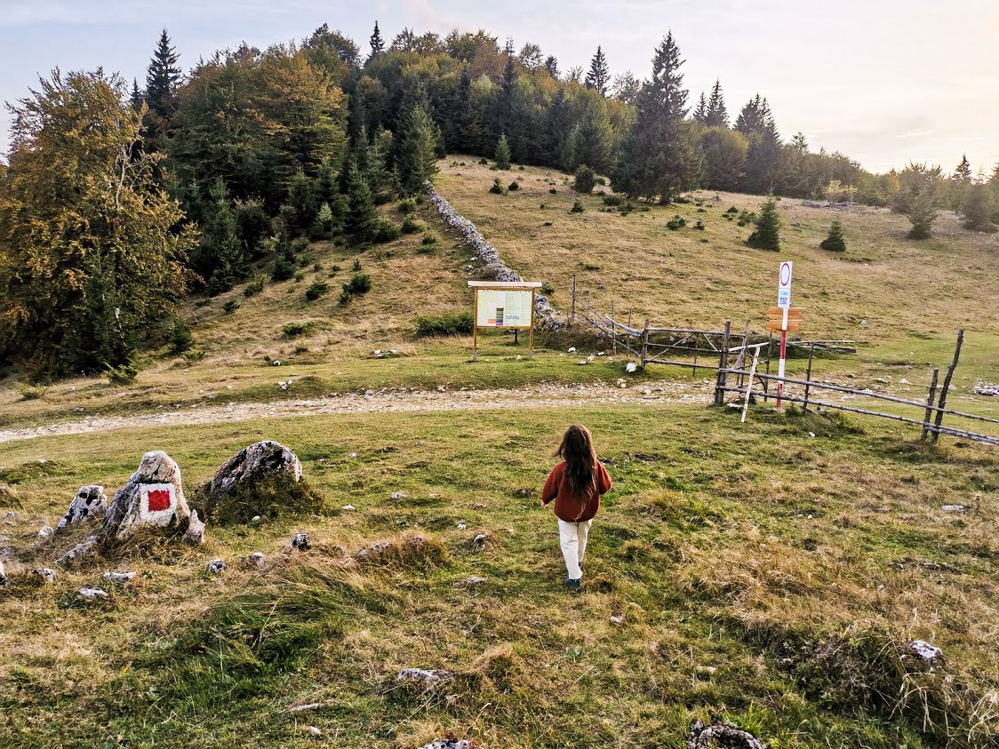 IMG_20201004_183847_1