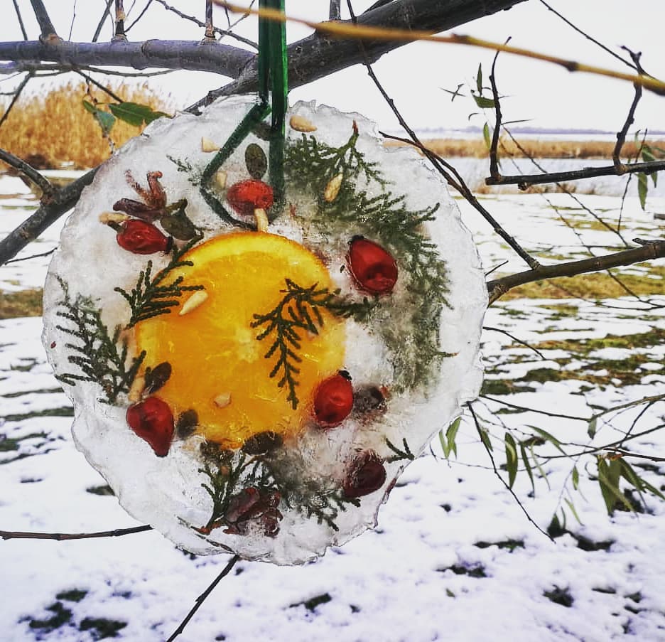 cutia-naturii-decembrie-ferma-happy-by-nature