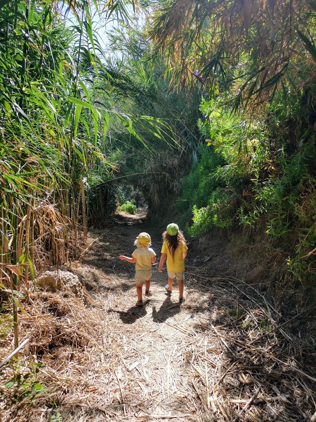 kanali-beach-trail-2