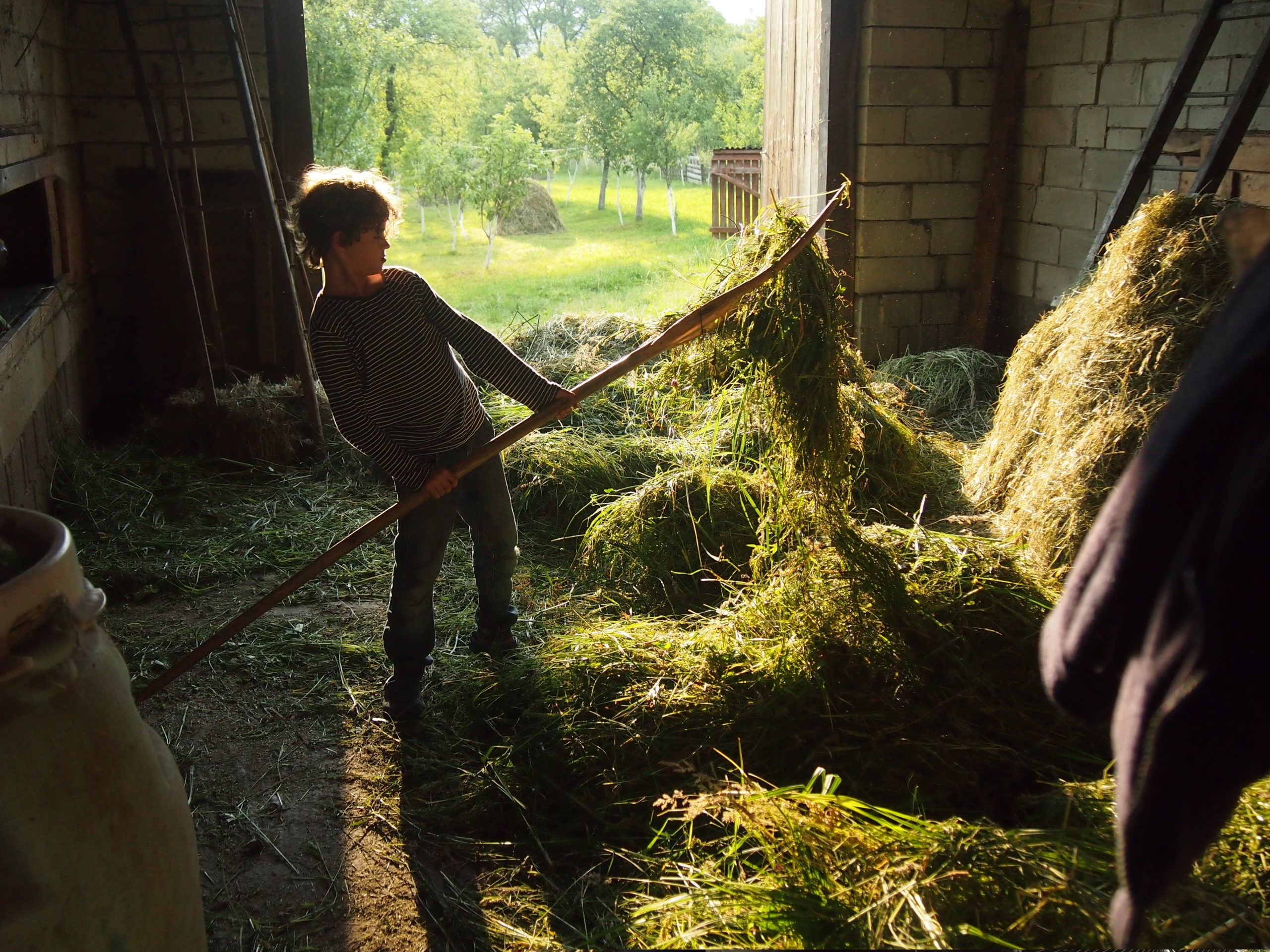 OLYMPUS DIGITAL CAMERA