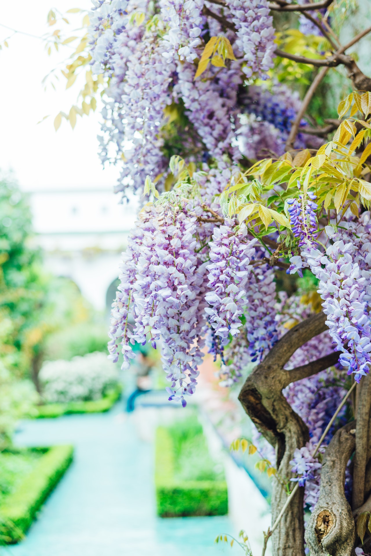 pexels-larissa-farber-7379775