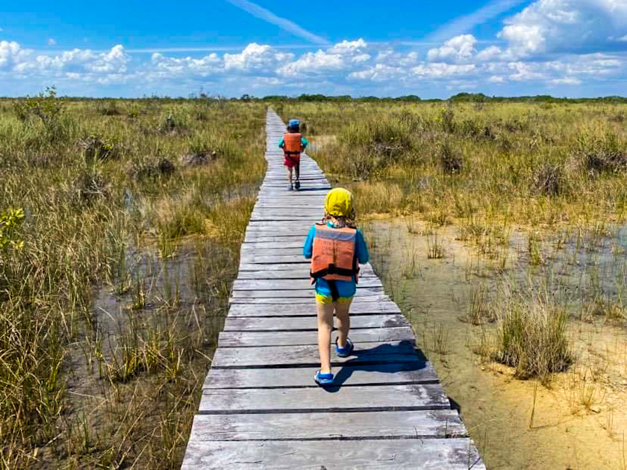 received_530457781715008-2