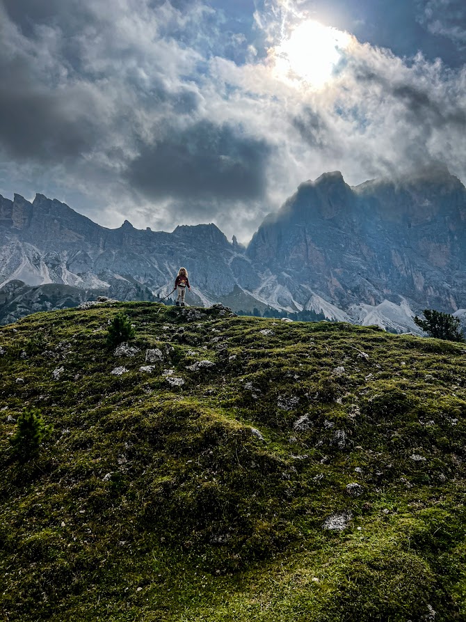 pui-mic-si-muntele-1