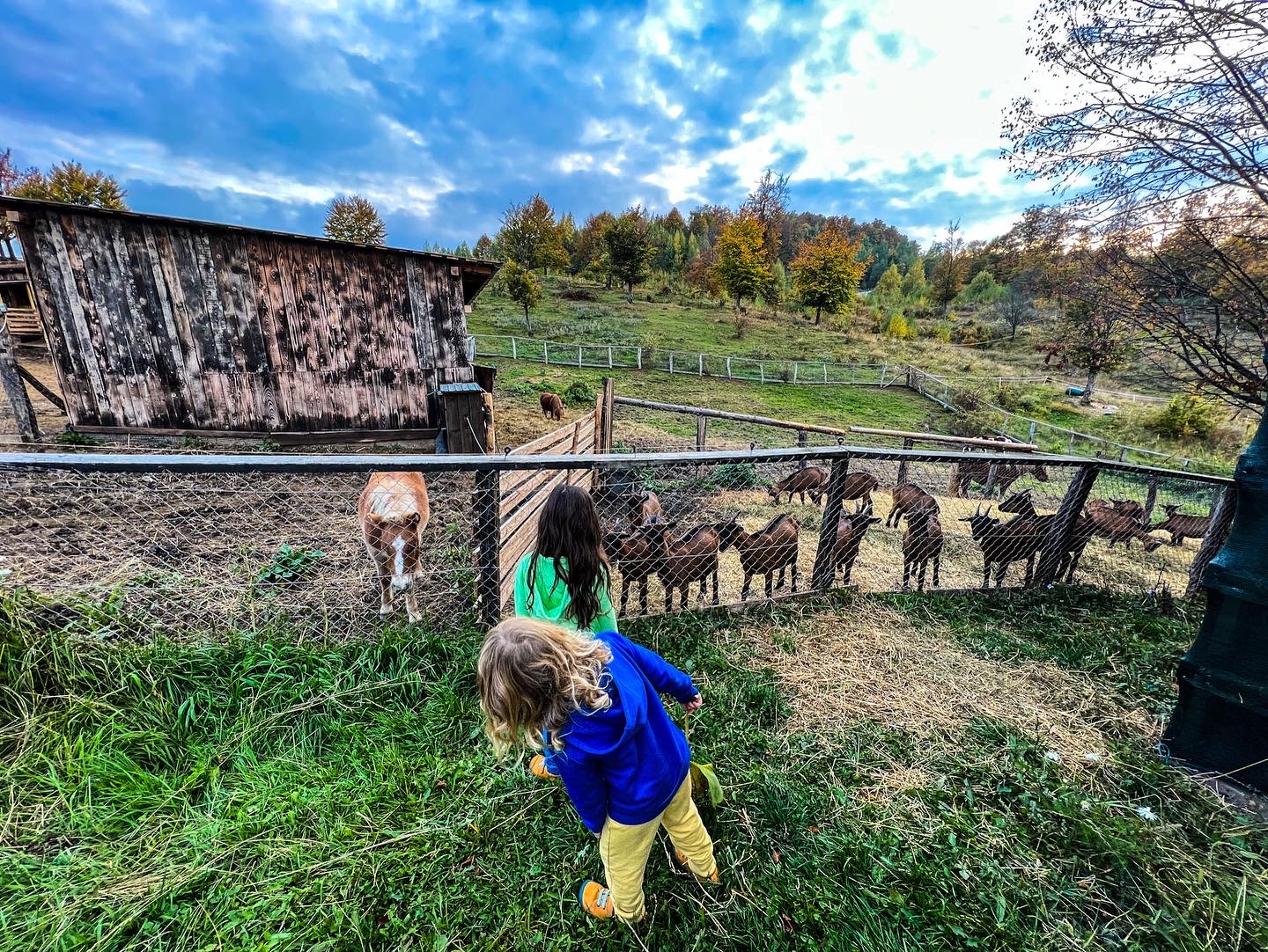 3236C2BD-9D51-4043-98FD-2AA9F16395EA