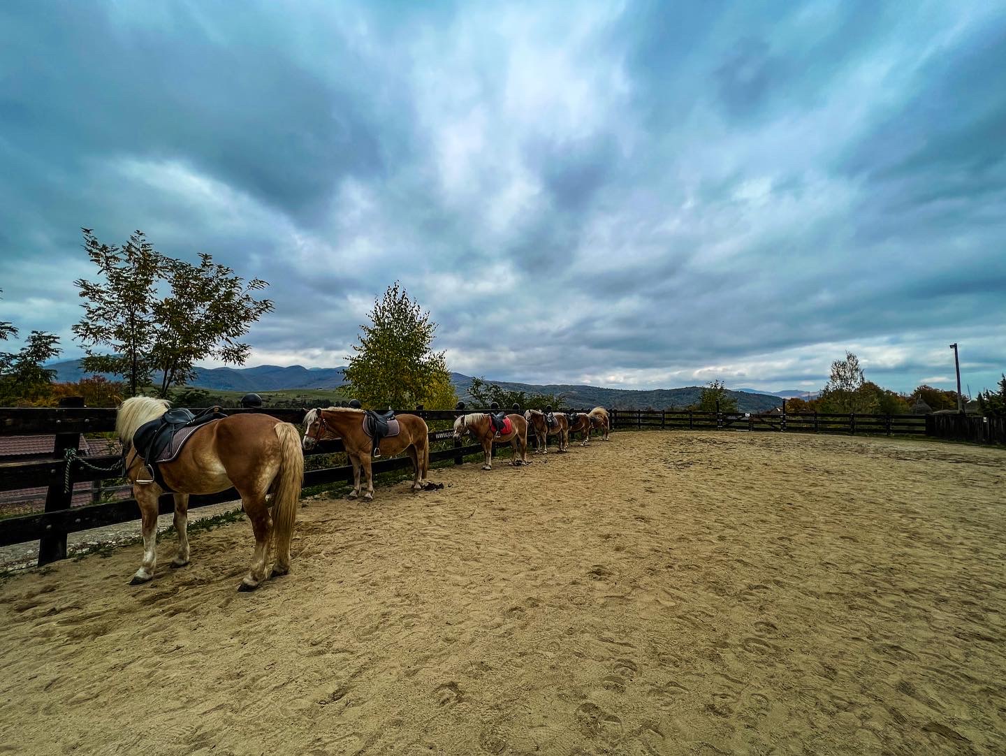 A88F9771-034D-43FB-A2C1-CF58951E148B