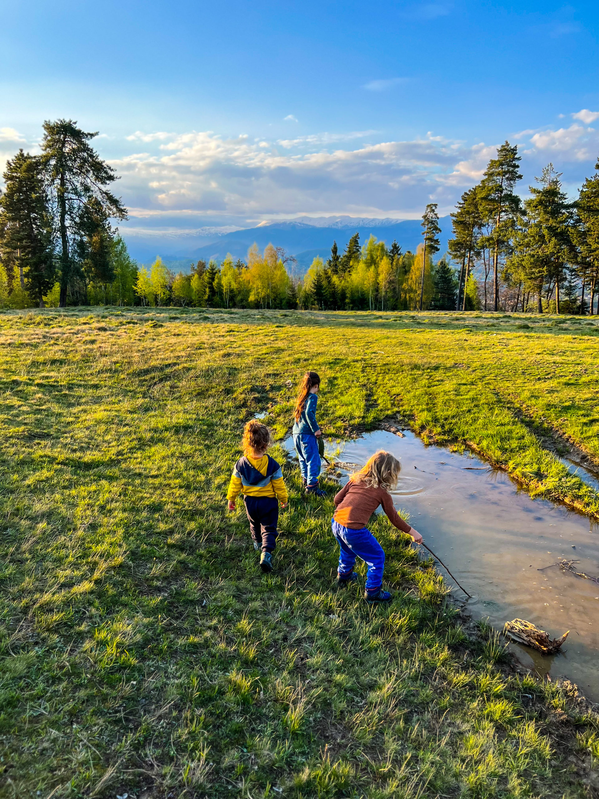 B4AE7294-D198-4750-A208-E59DA5F246B6