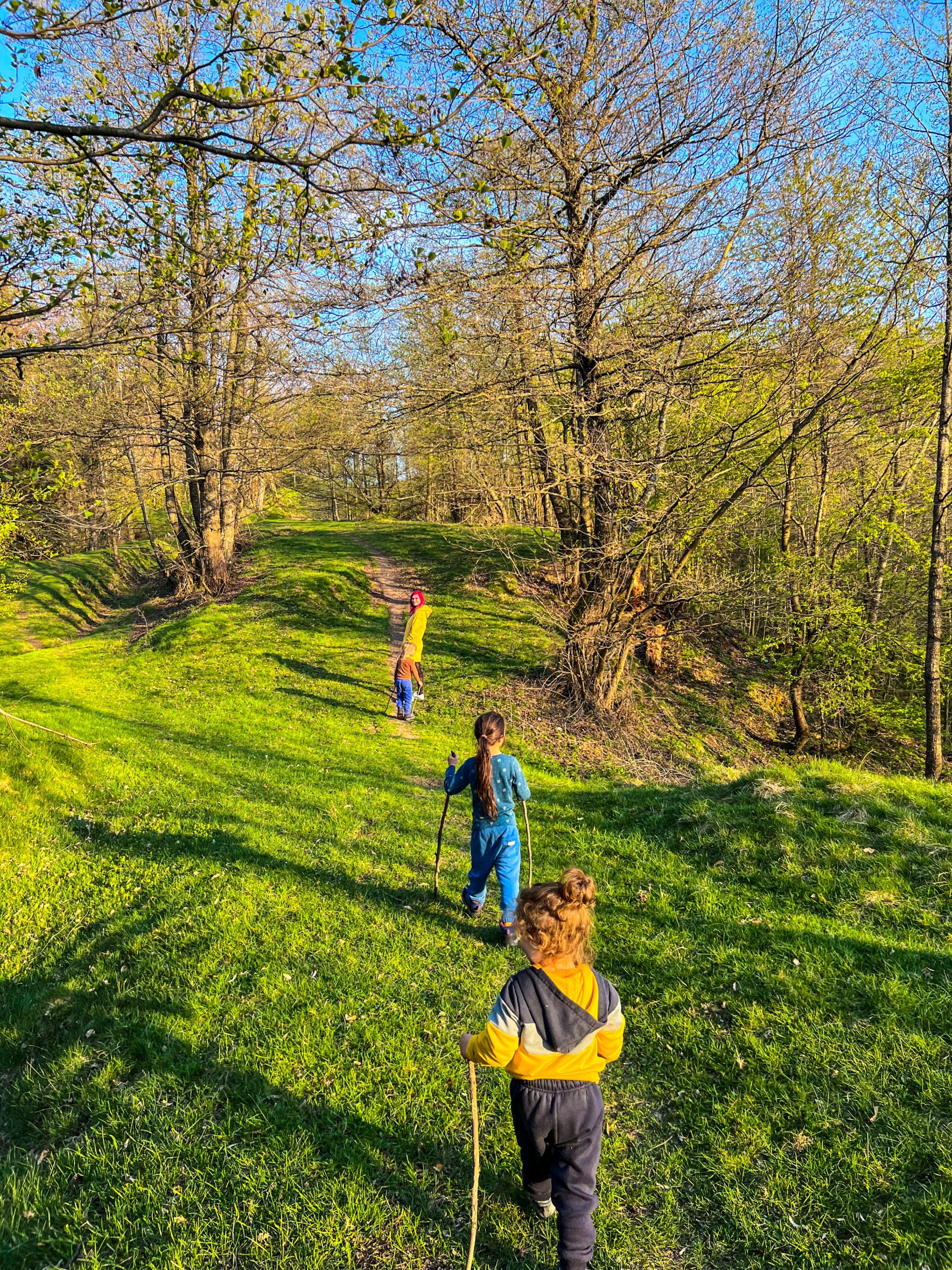 B56E4658-F181-4E28-BBE3-8DA6E048D482