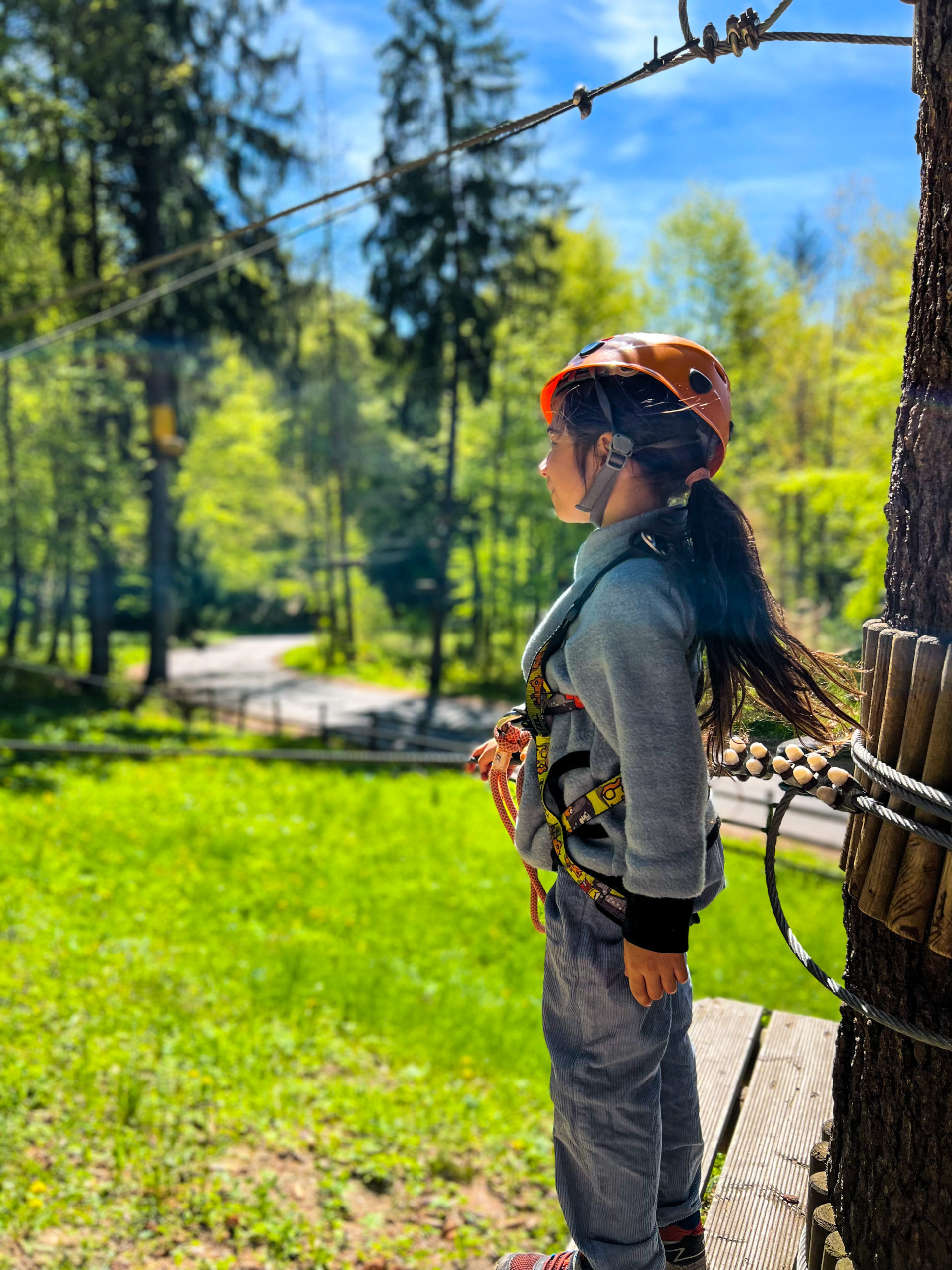 BC54FAE0-FEE4-4C08-85B6-8EC83D026526